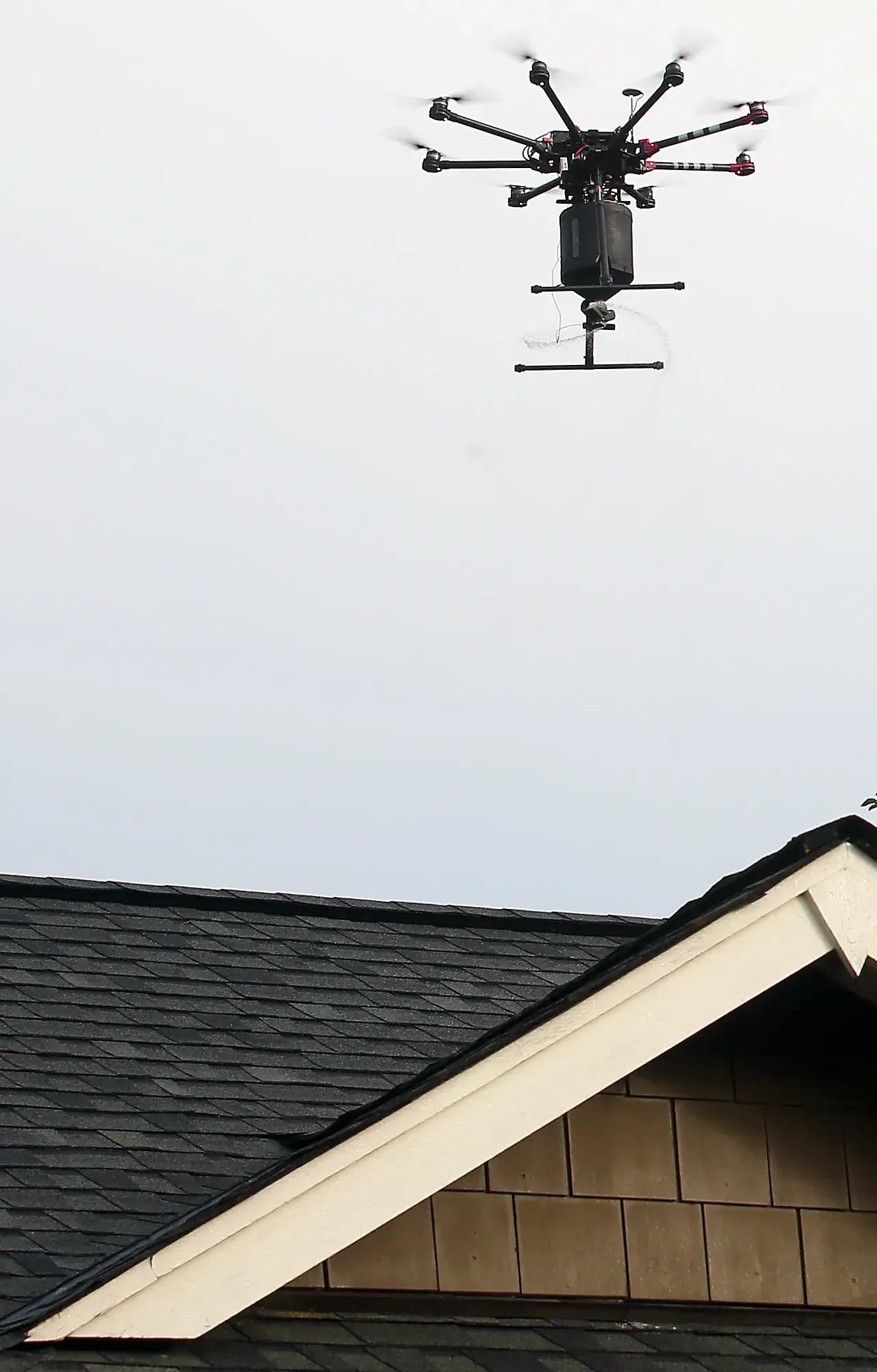 Photo credit: nextdoor