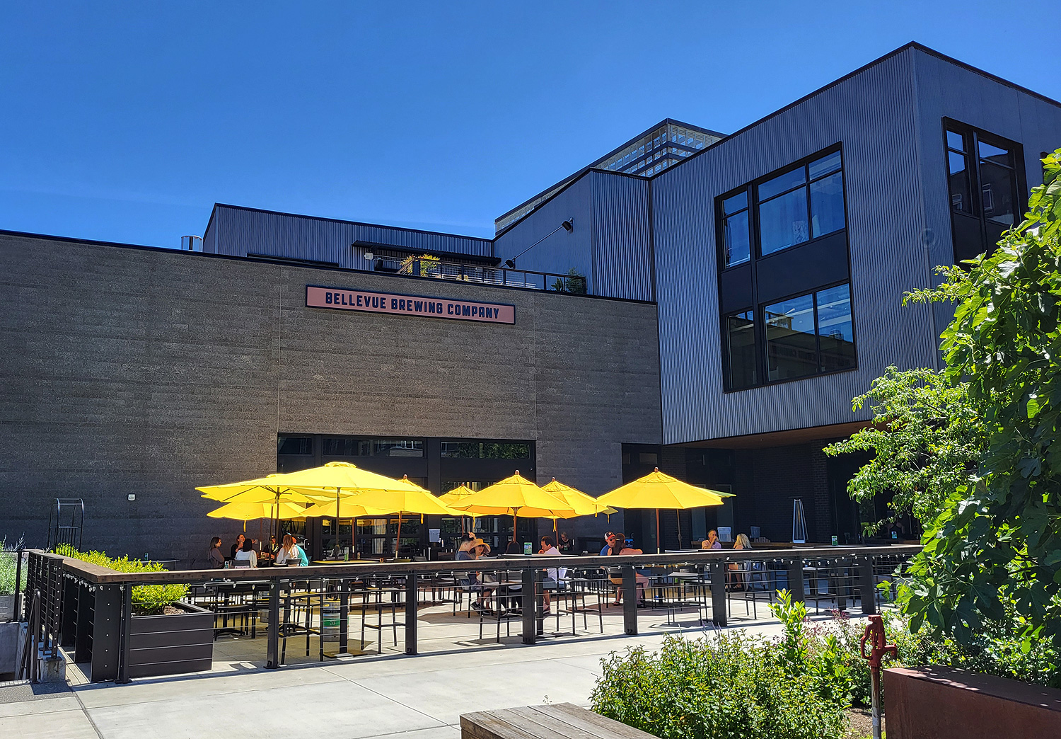 Bellevue Brewing Company - Spring District Brewpub