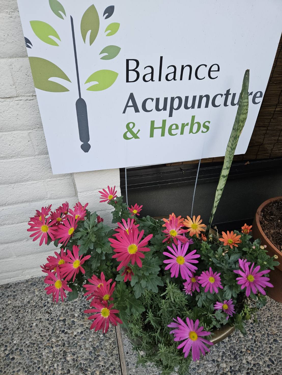 Balance Acupuncture & Herbs