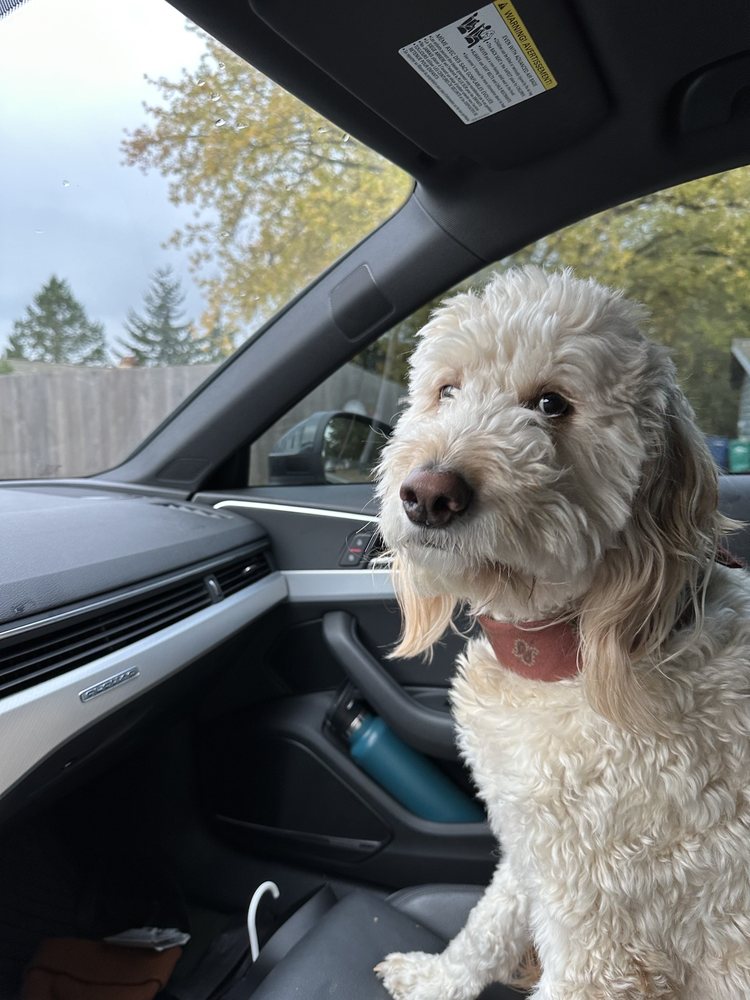 PERSONAL TOUCH PET GROOMING Bothell WA Hours, Directions, Reviews