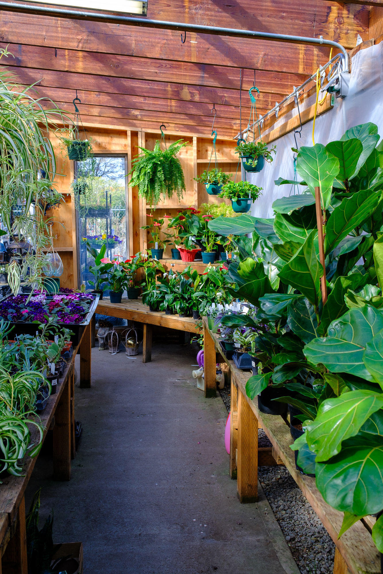 Bremerton City Nursery