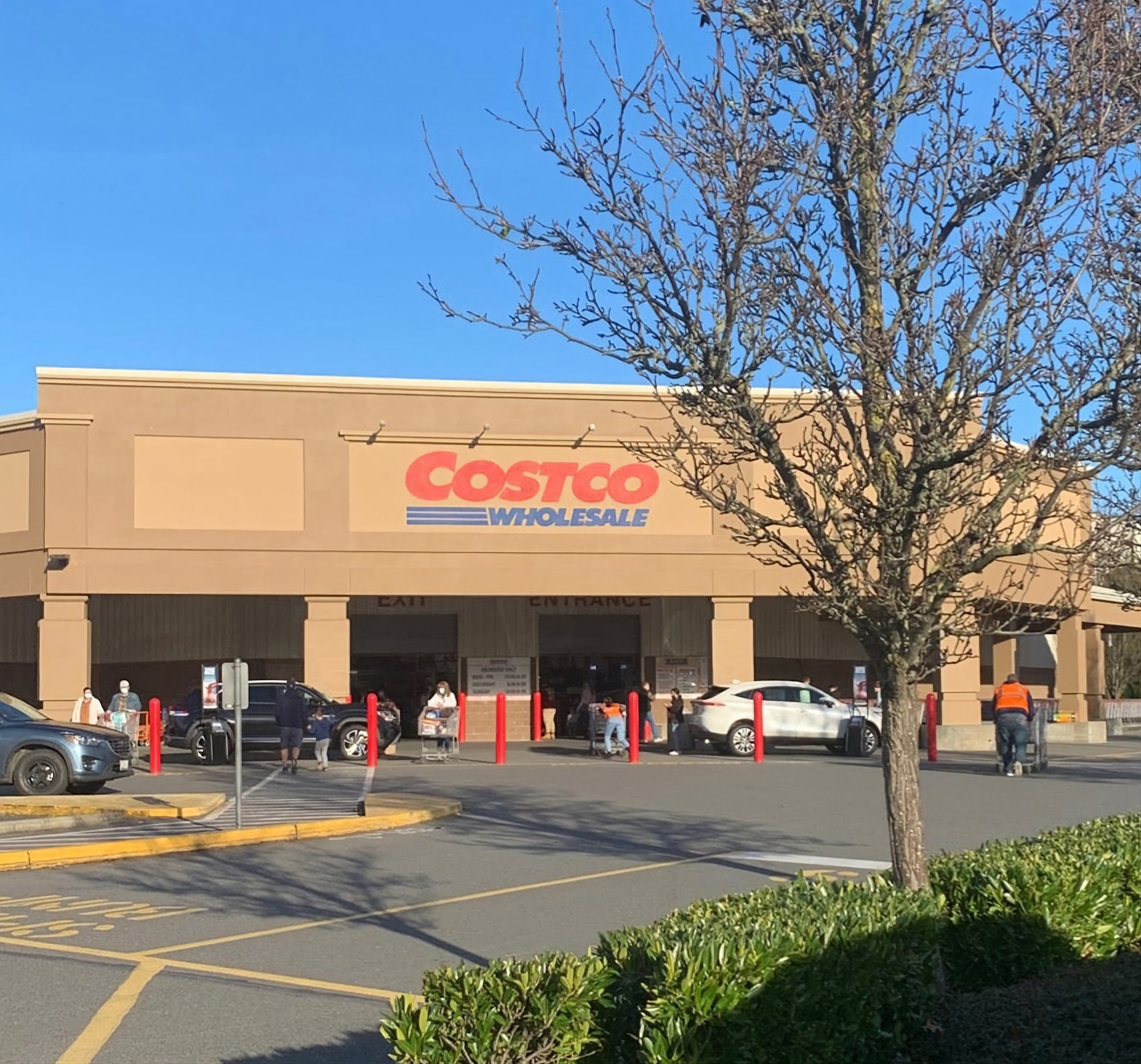 Costco Bakery Burlington