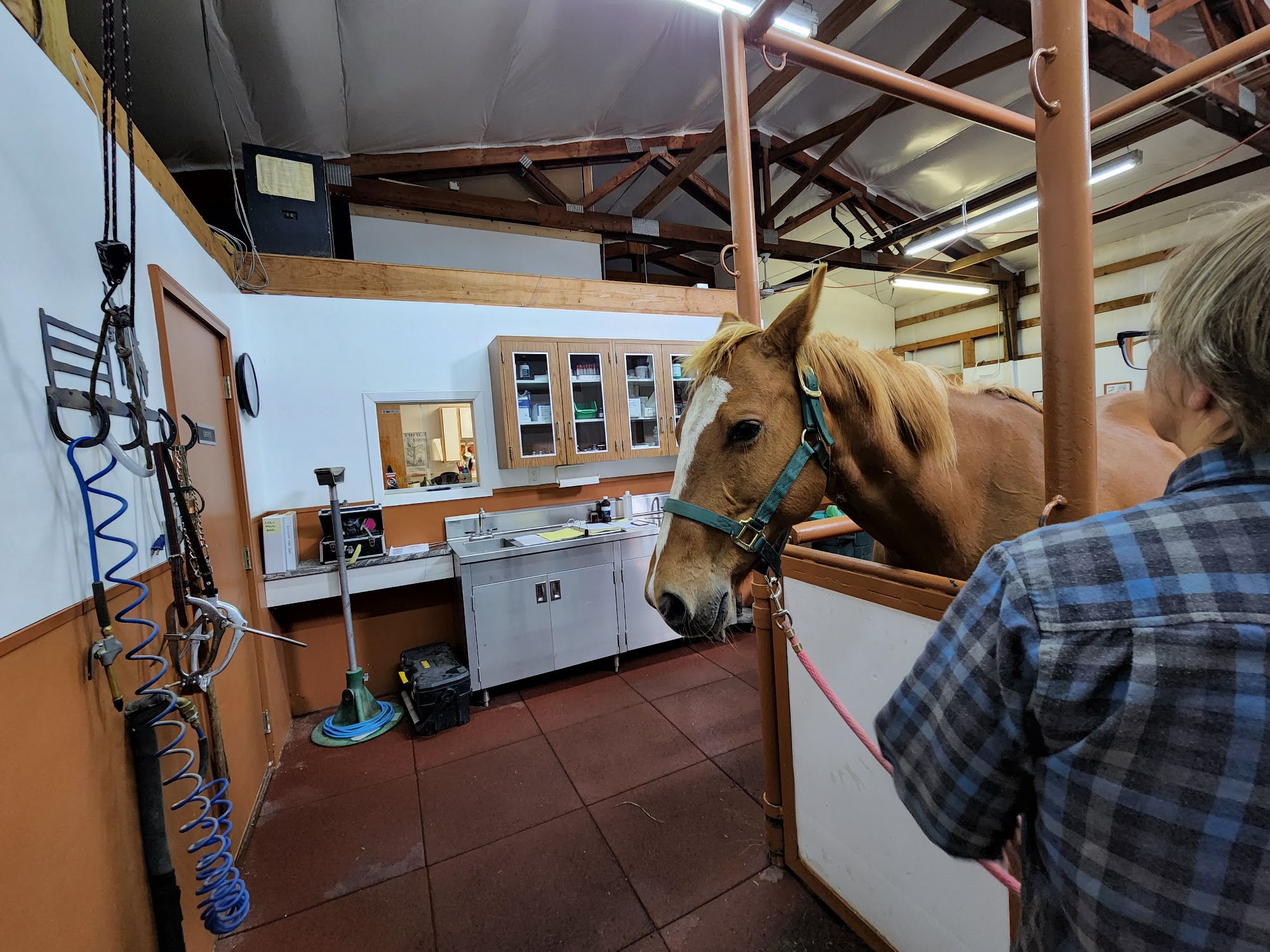 McKinlay & Peters Reproduction Center