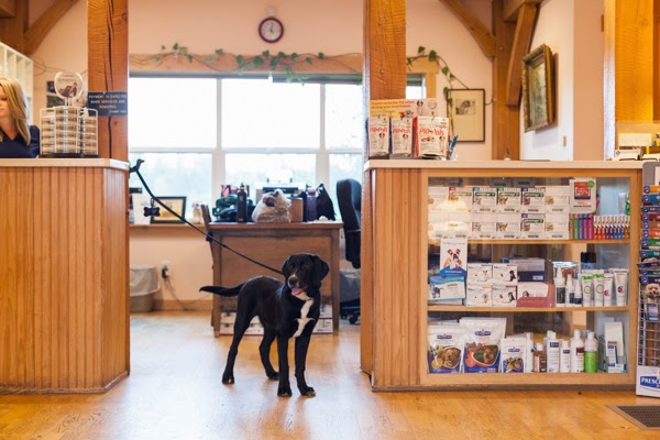 Penn Cove Veterinary Clinic 107 S Main St, Coupeville Washington 98239