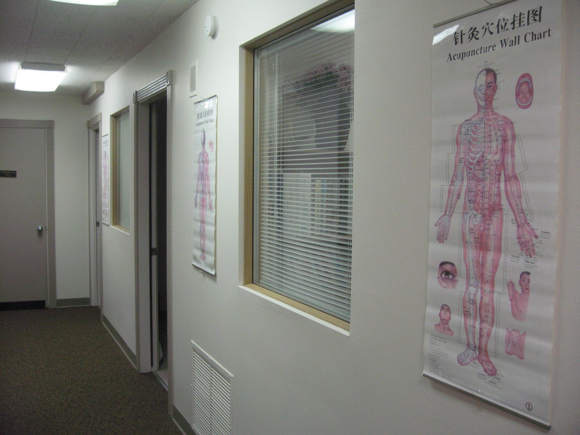 Best Acupuncture Clinic