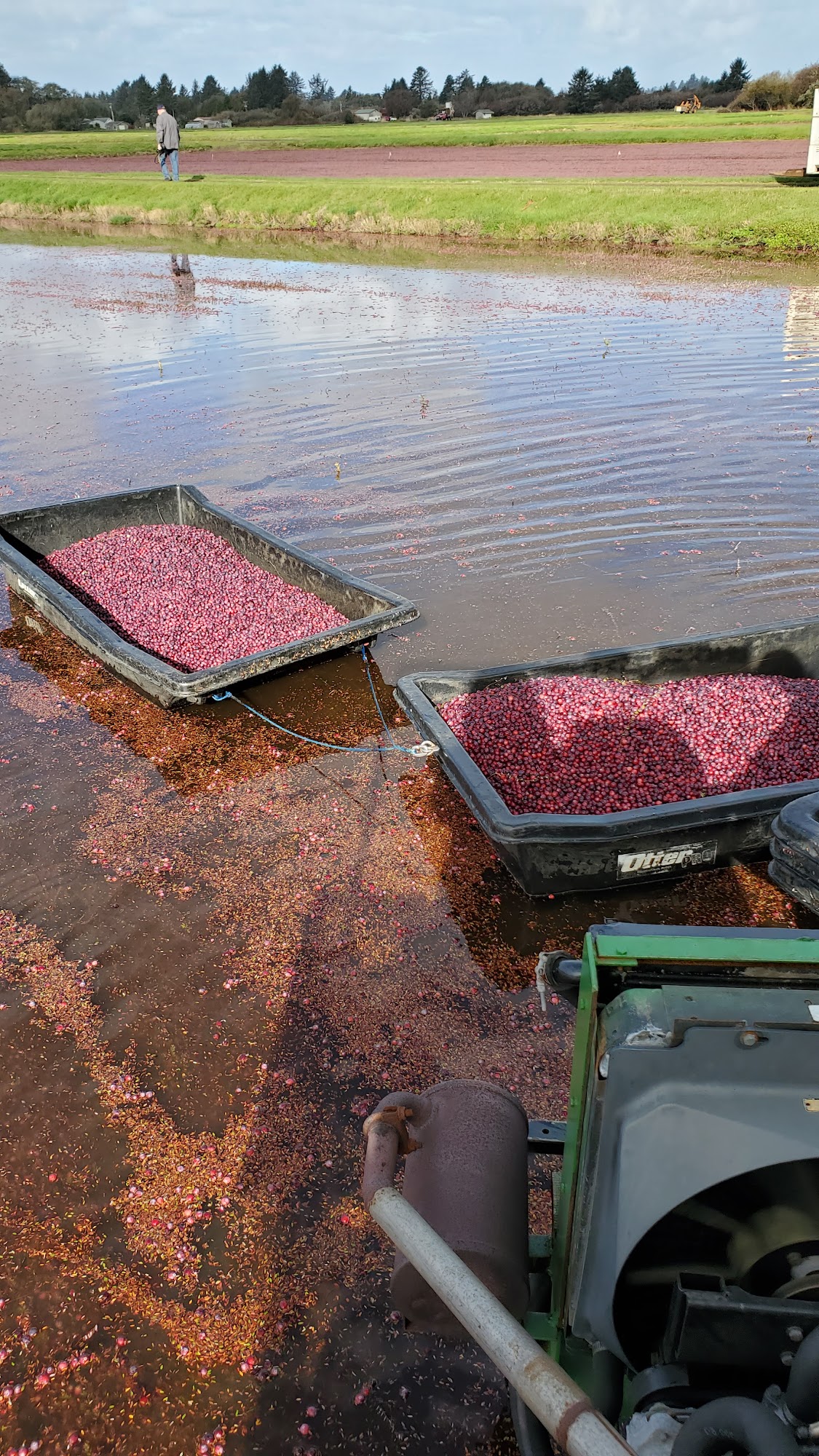 Cranberry Museum and The Cranzberry Gift Shop