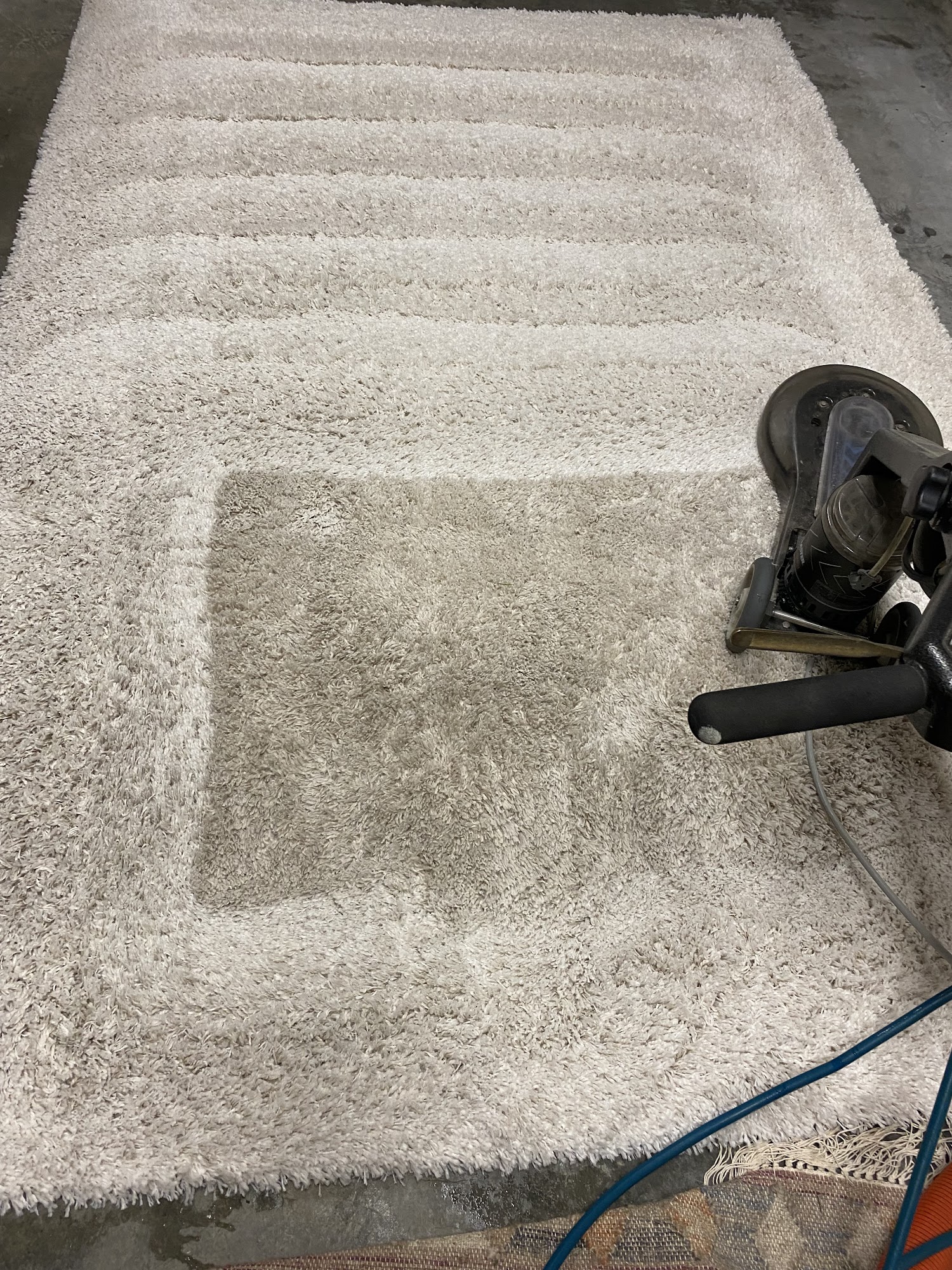 Revive Carpet Cleaning