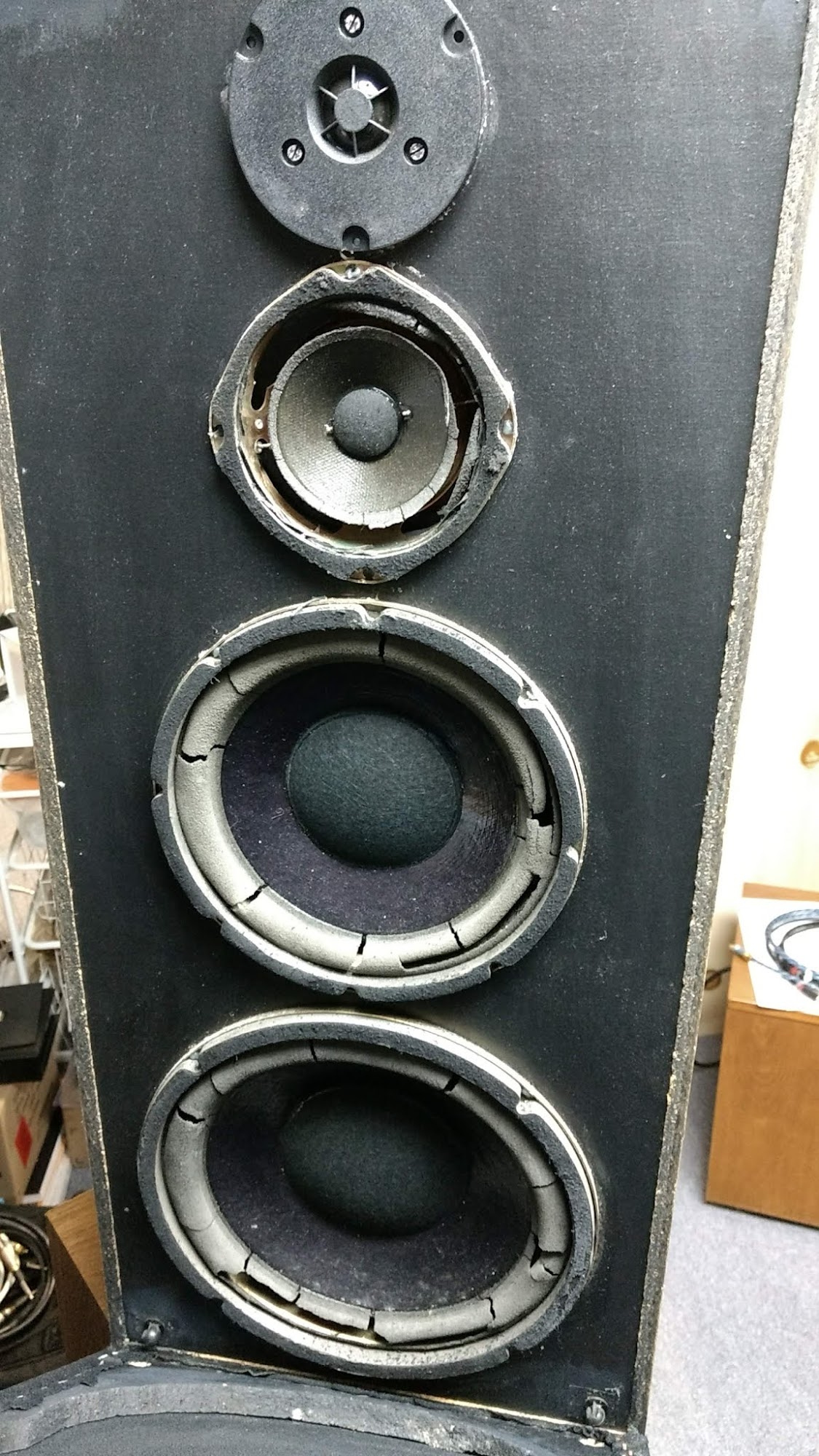 The LoudSpeaker Store