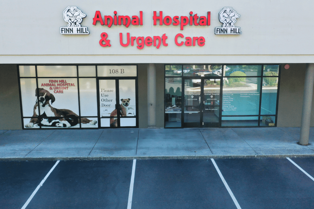 Finn Hill Animal Hospital