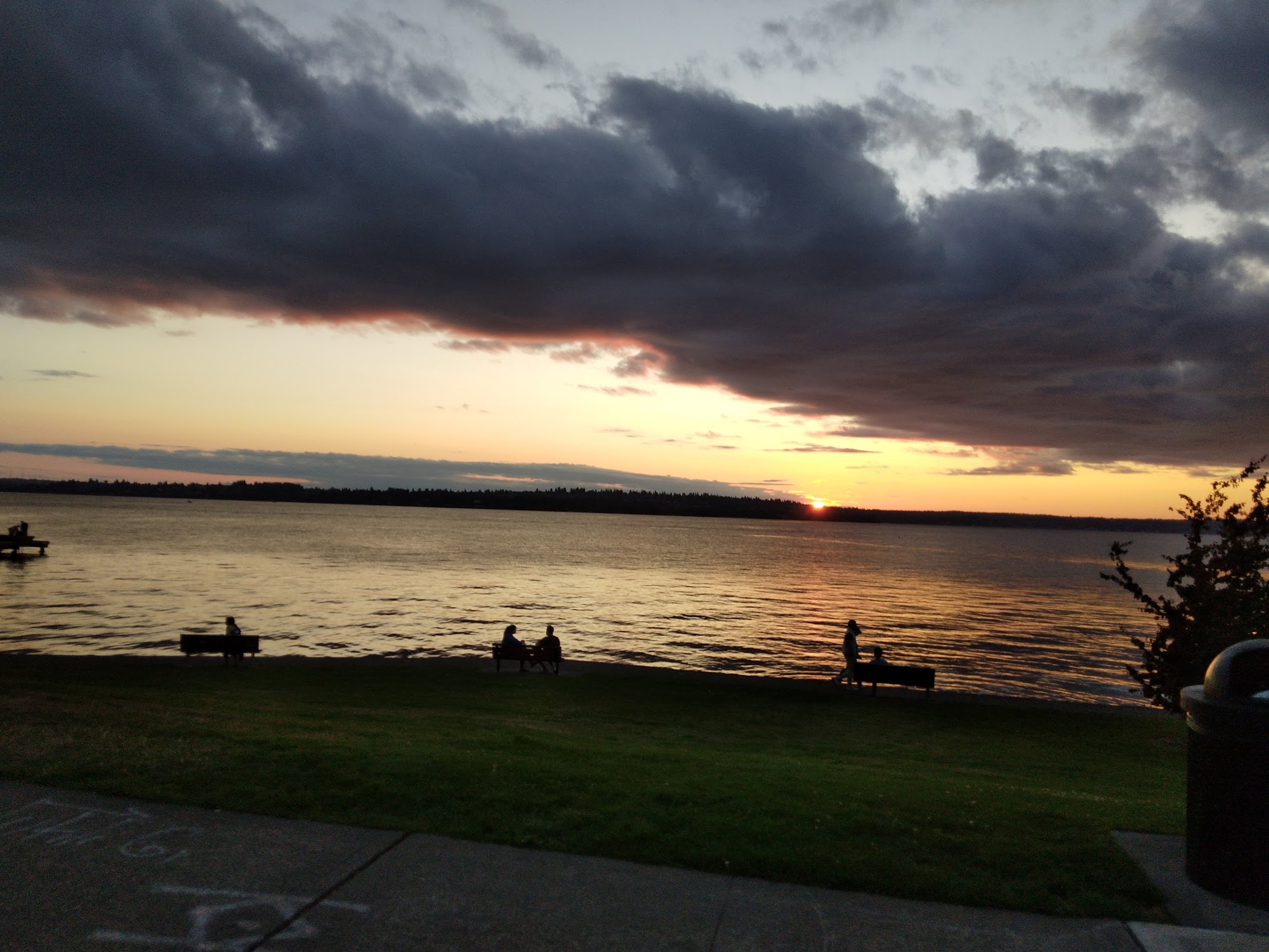 Kirkland animal hospital Kirkland