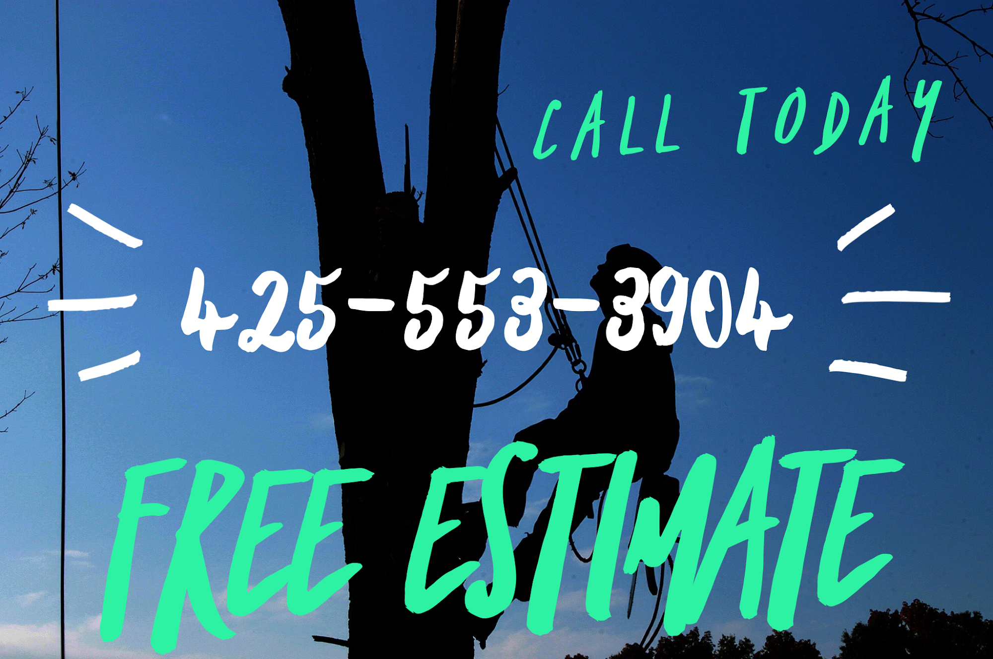 Expert Tree Trimming Kirkland