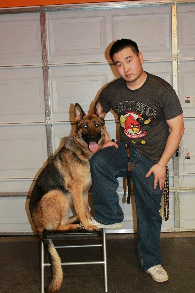 One Command K9 Lacey