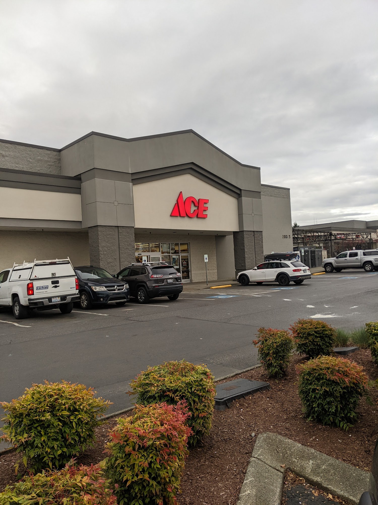 Ace Hardware