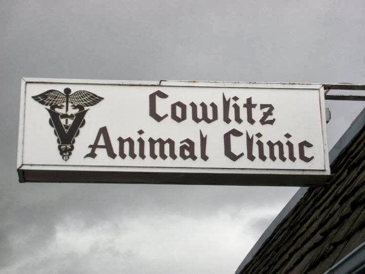 Dr. Katie Stephens, DVM Longview