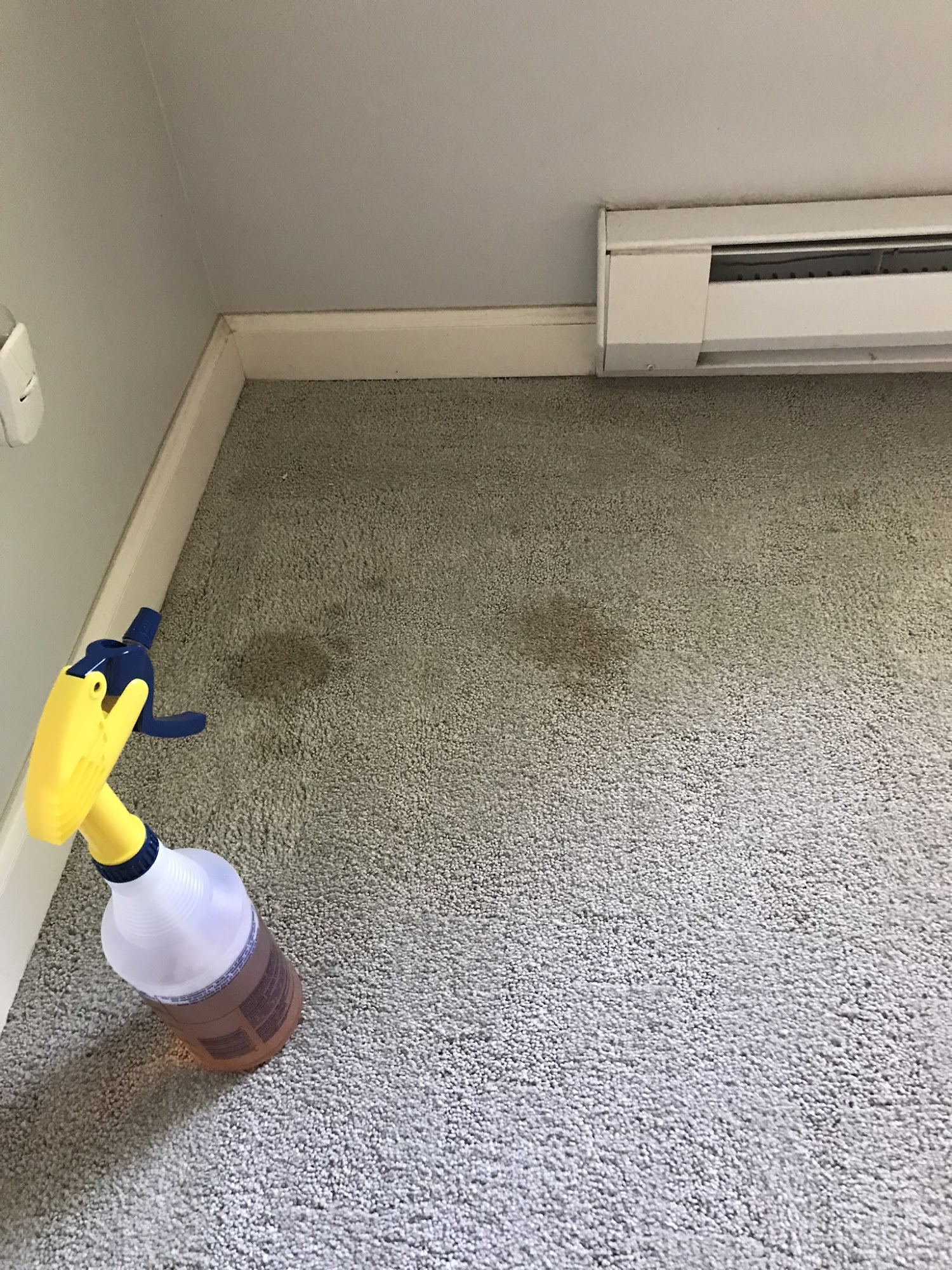 Lynnwood House & Carpet Cleaning