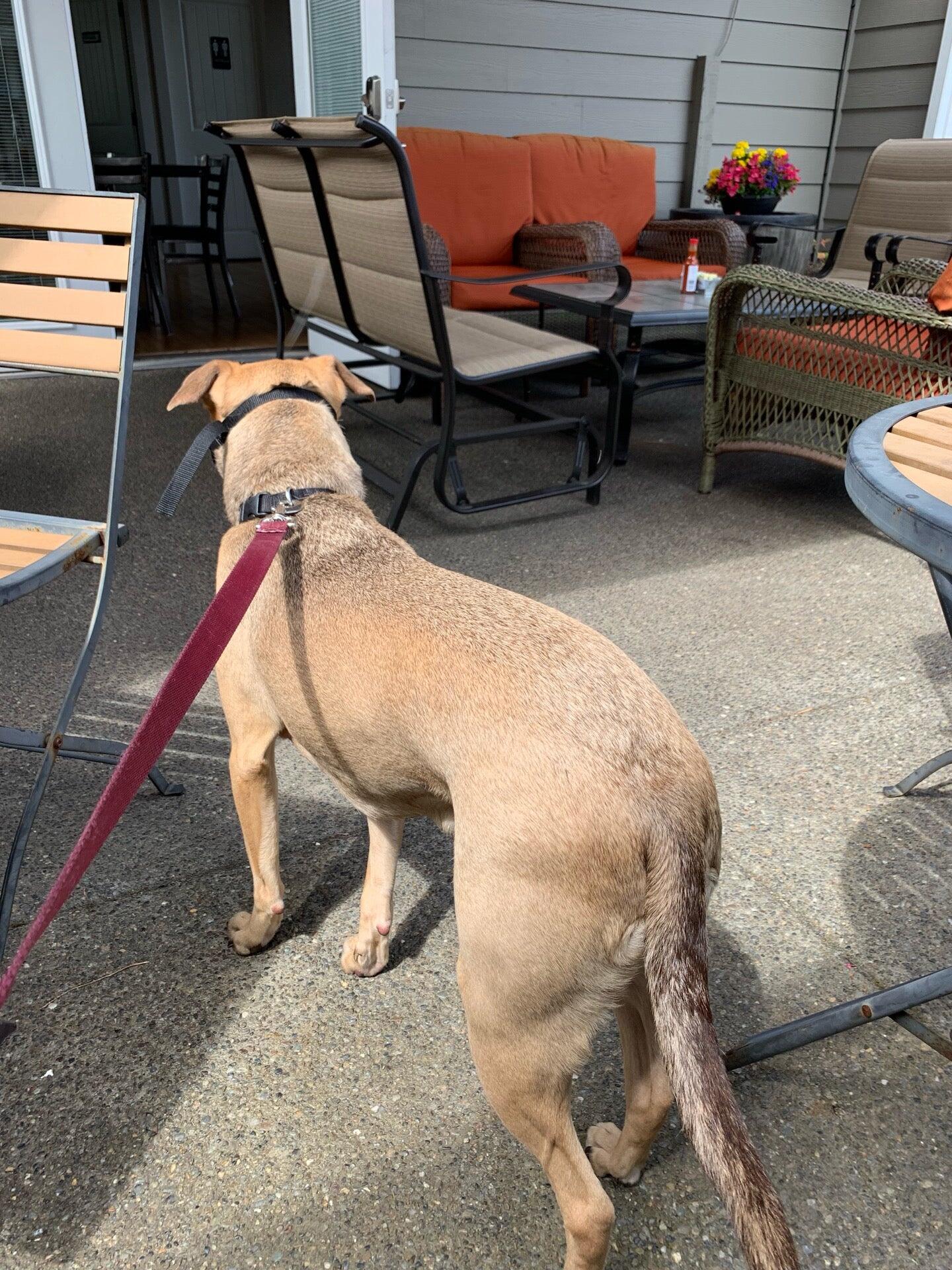 Photo credit: nextdoor
