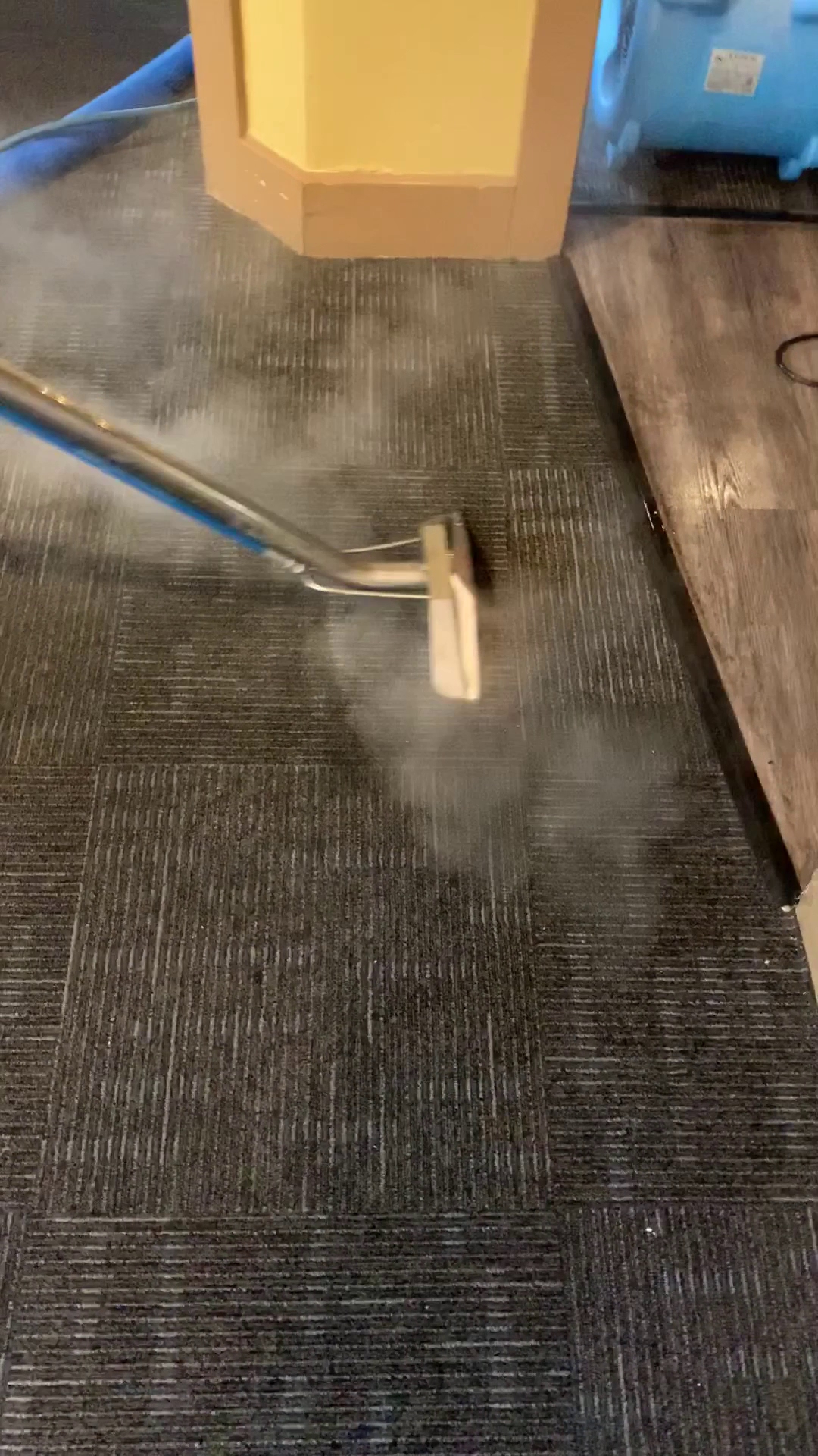 Triple Gem Carpet Cleaning