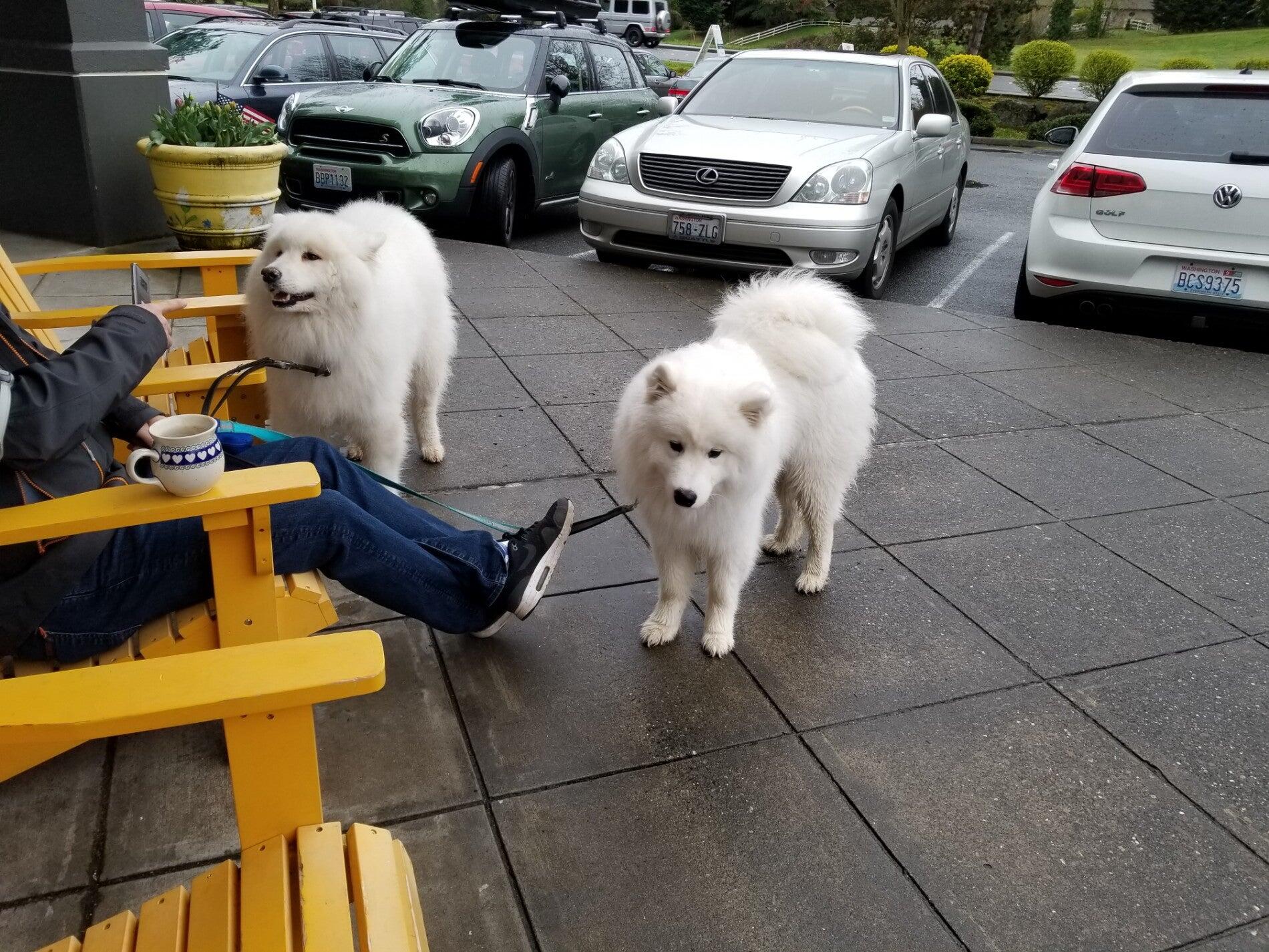 Photo credit: nextdoor