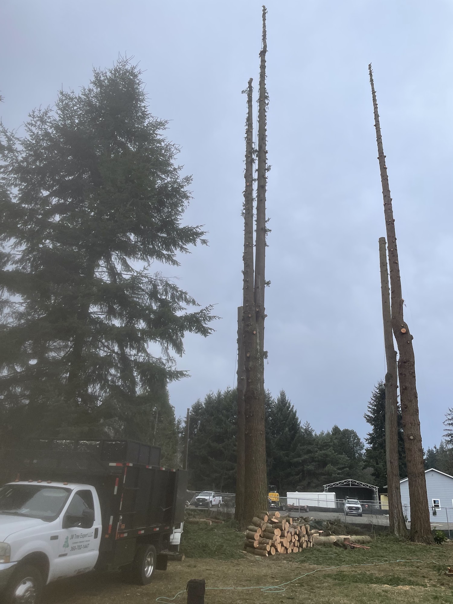 JM TREE EXPERT LLC 3328 NE 179th St, Ridgefield Washington 98642