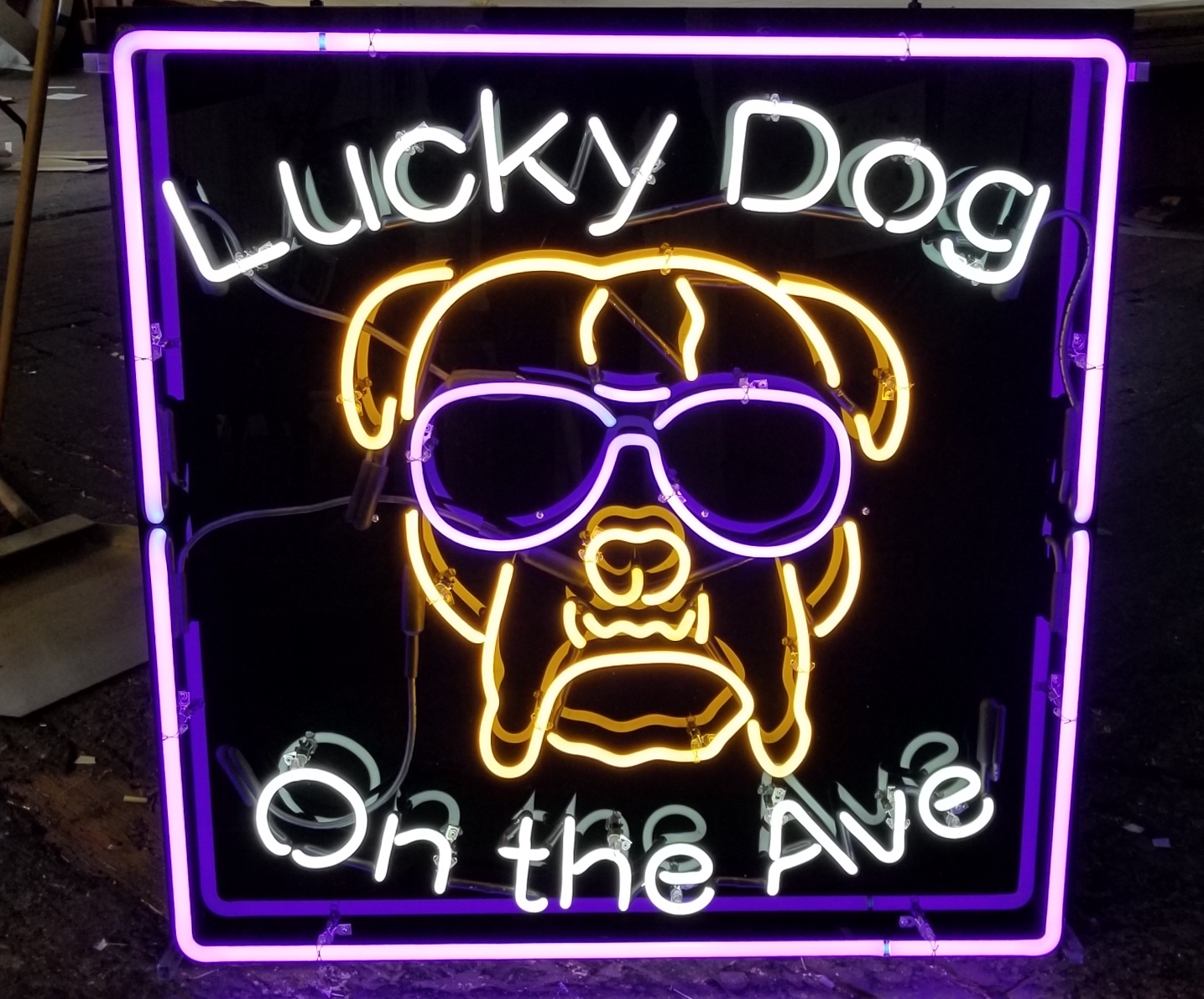 Lucky Dog on the Ave