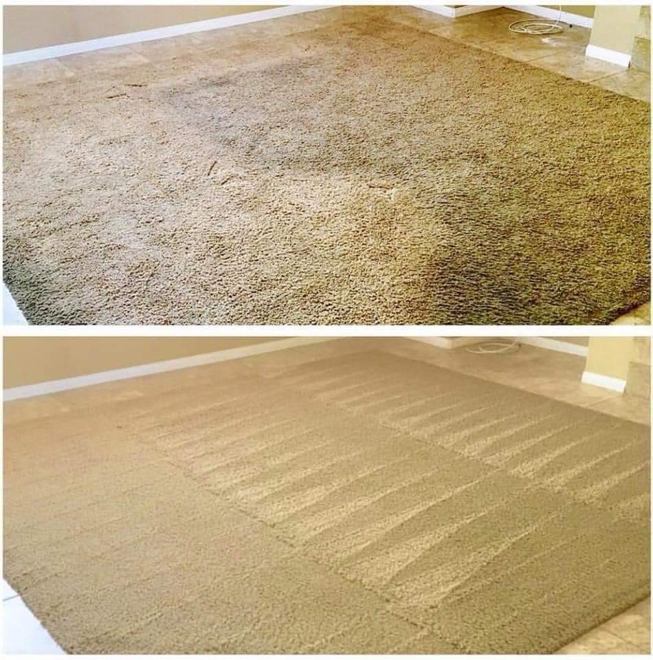 Greenworks Carpet Cleaning: Upholstery, Rug & Carpet Cleaners Near Seattle