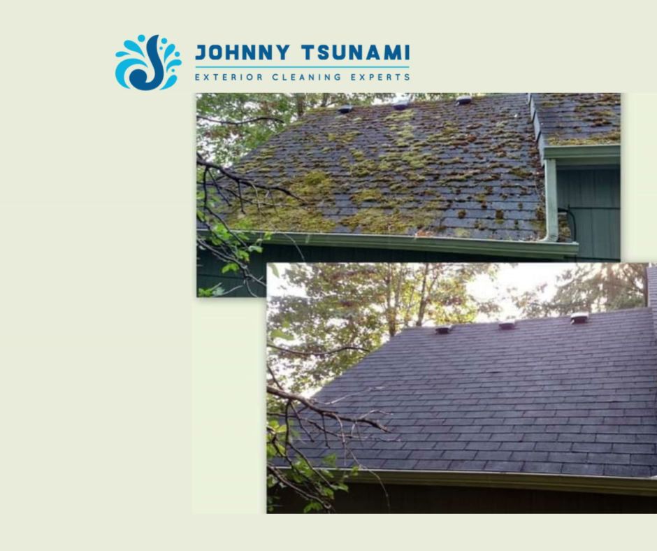 Johnny Tsunami Roof Cleaning