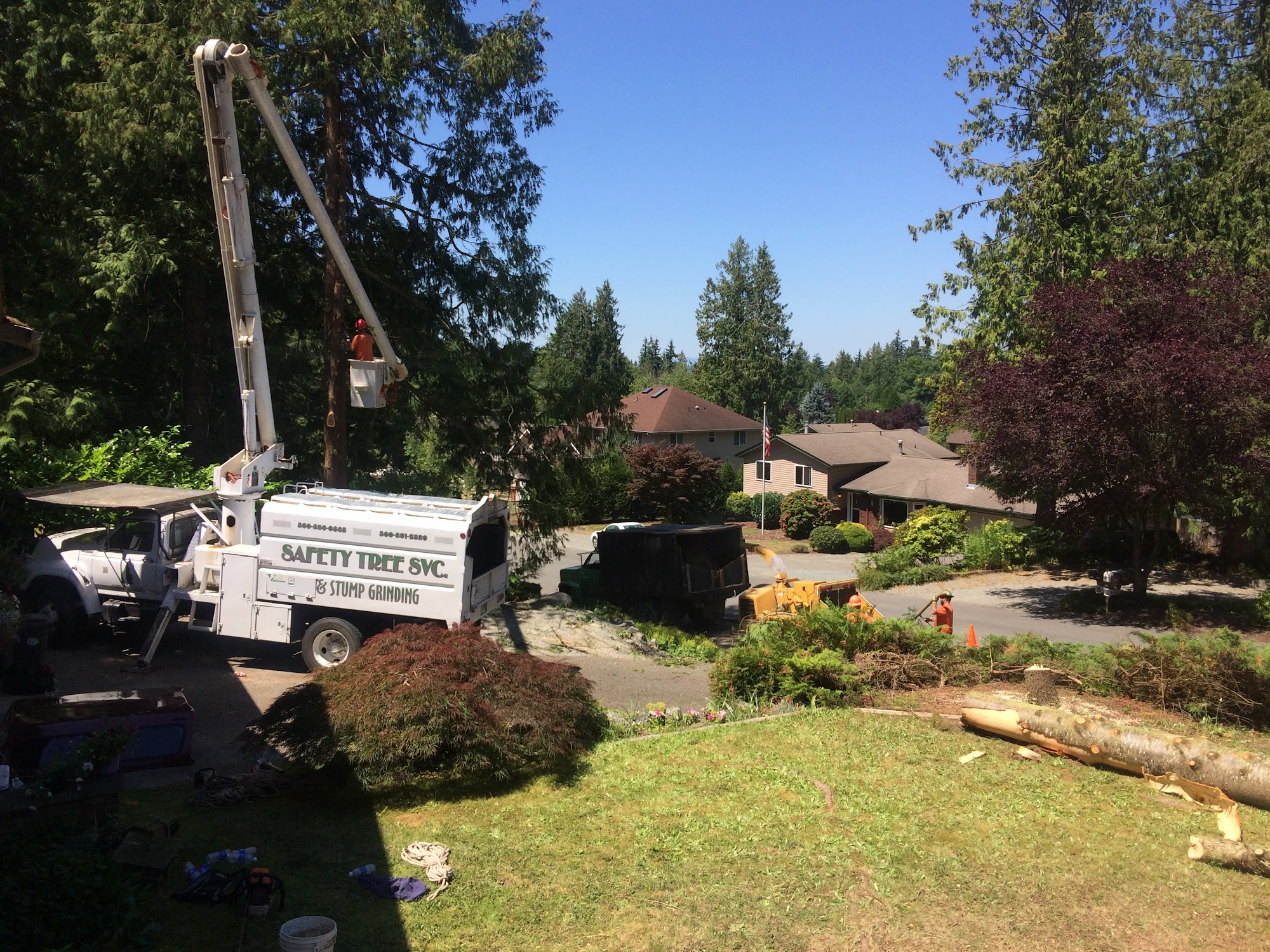 A-1 Safety Tree Service, LLC 26825 Paramount Ln, Sedro-Woolley Washington 98284