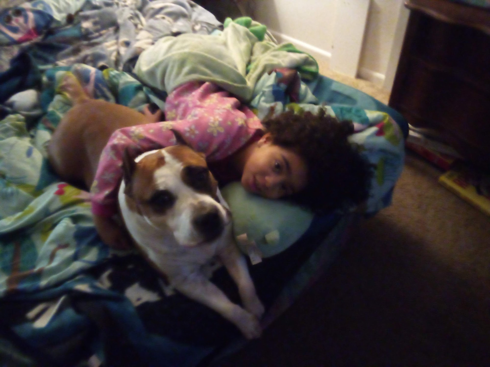 Critters Care, Spokane Valley