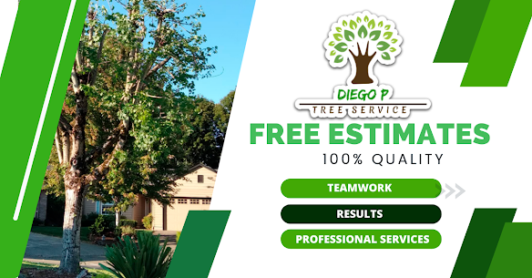 Diego P Tree Services