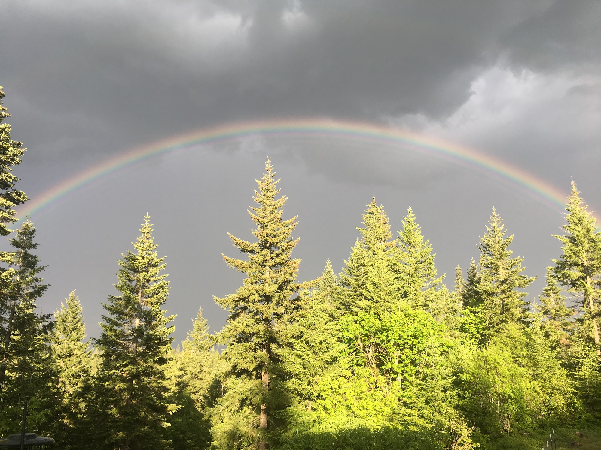 Burdoin Mountain Medicine