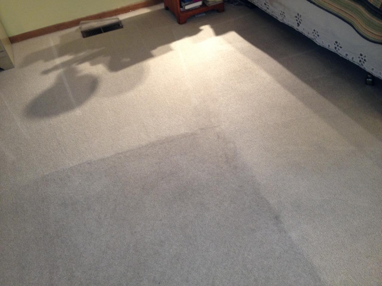 Healthy Home Carpet Care