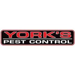 York's Pest Control