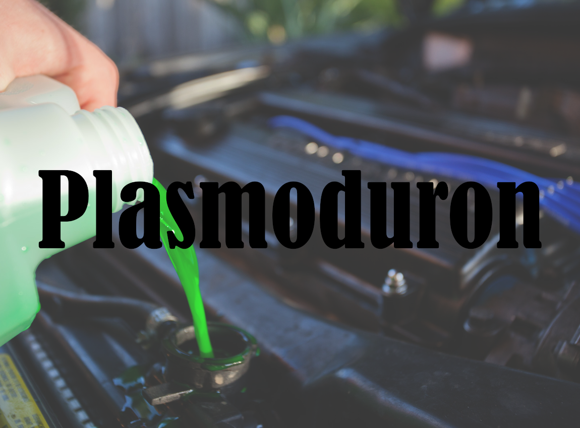 Plasmoduron