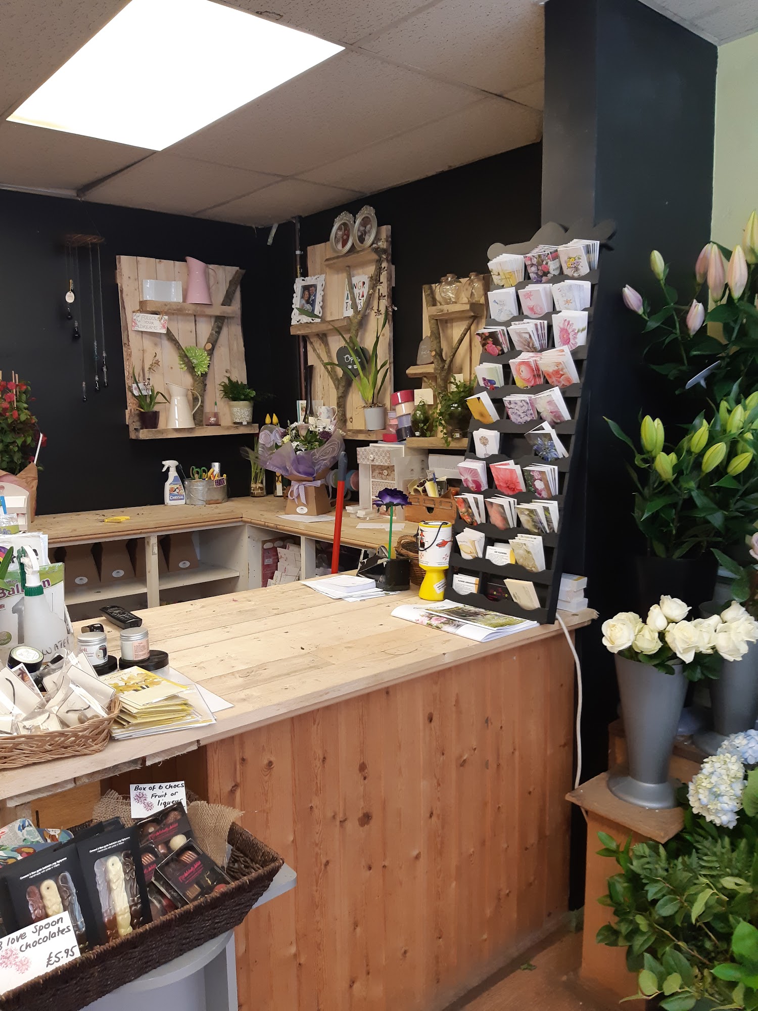 Knighton Flower Box Ltd