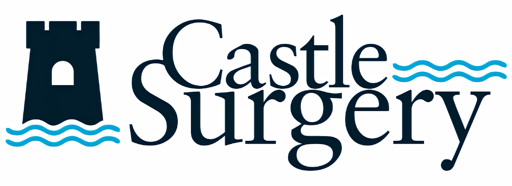 Castle Surgery