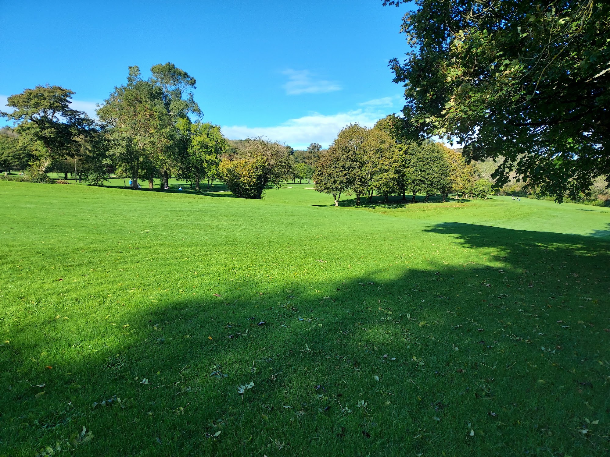 Dinas Powys Golf Club
