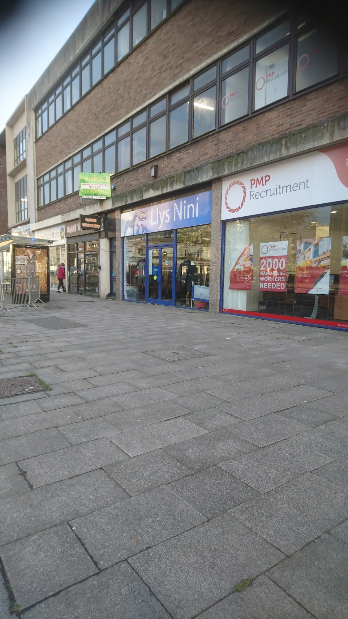 RSPCA Llys Nini Charity Shop - Swansea