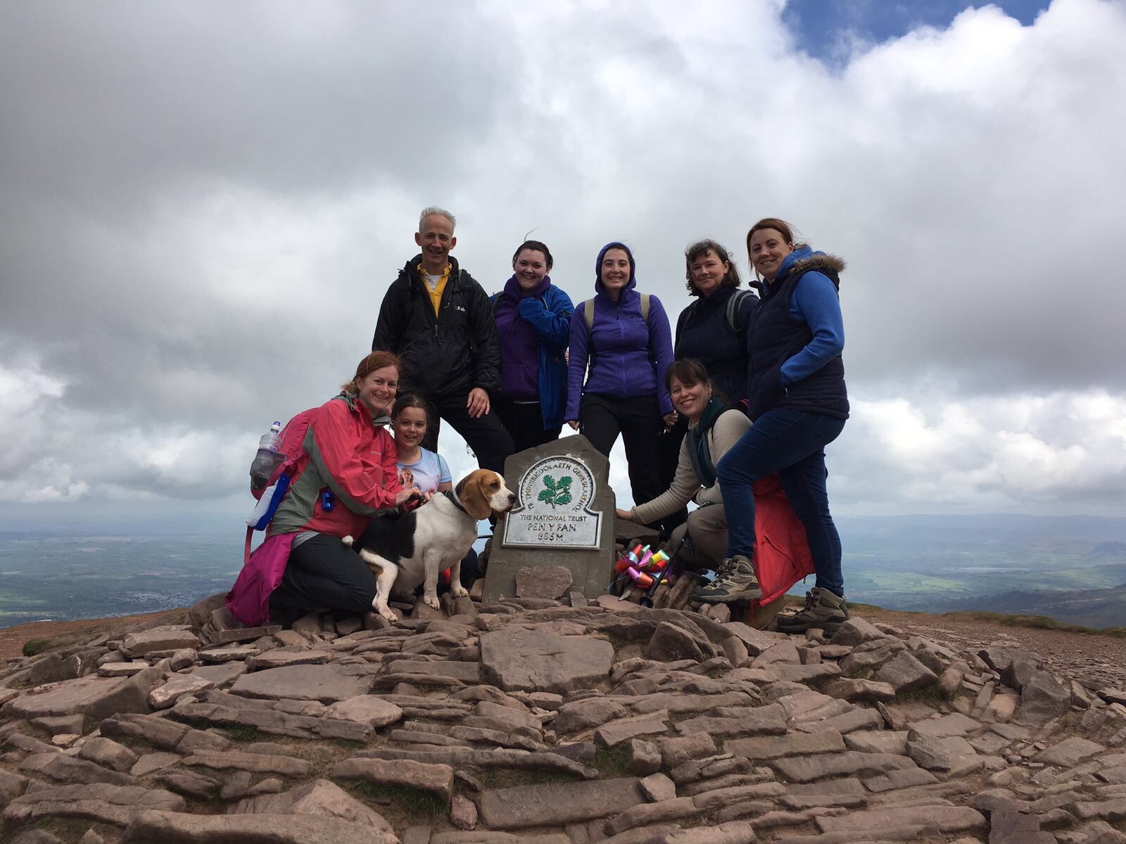 Home Instead Swansea - Home Care, Dementia Care & Companionship