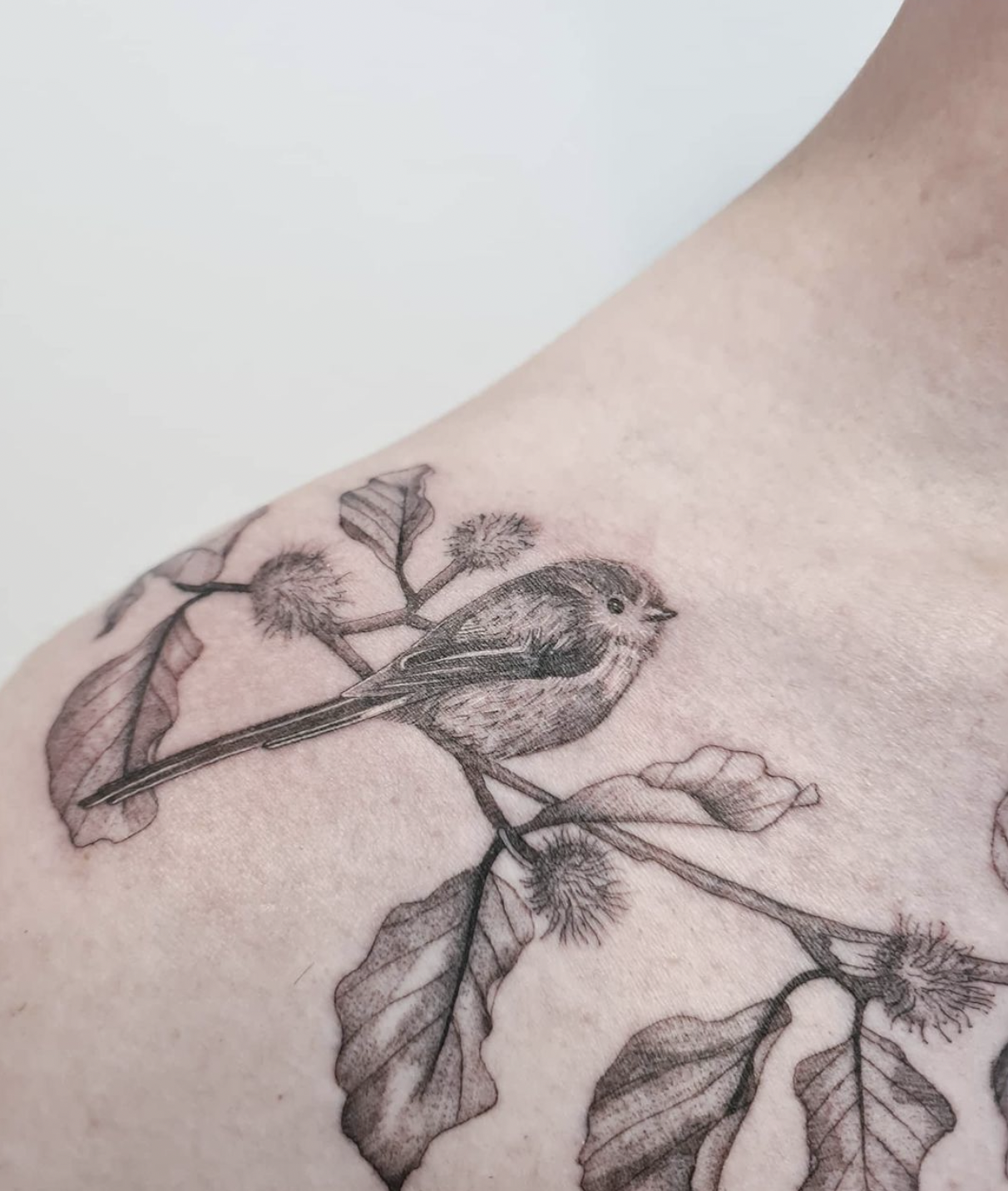 Ryot Tattoo Co Rugby