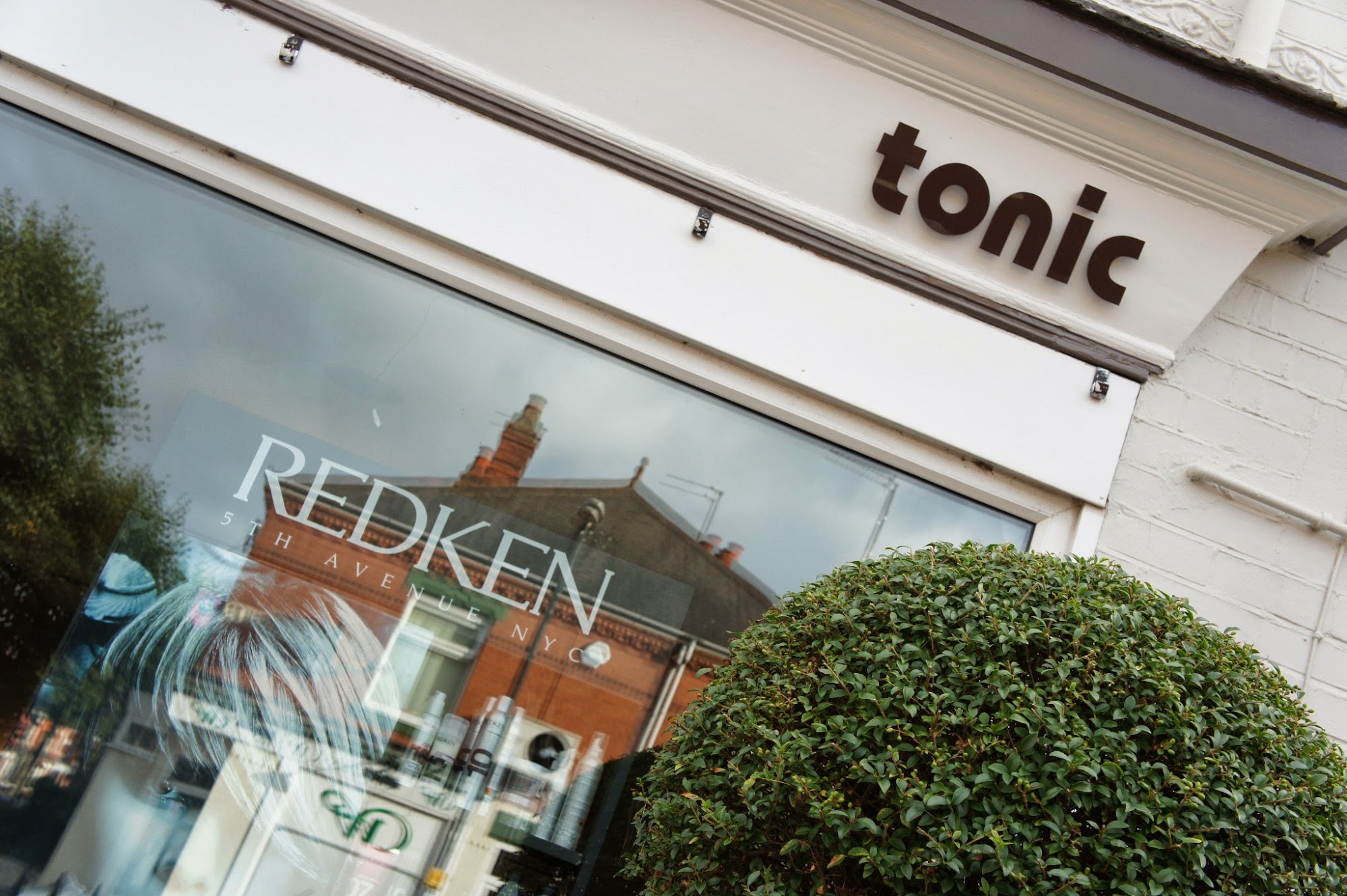 Tonic Therapies