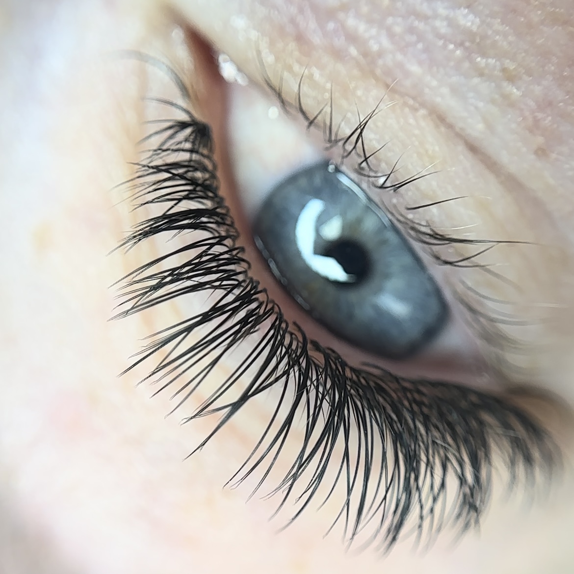 Eyelash extensions and eyebrow treatments- Lash And Brow Professional
