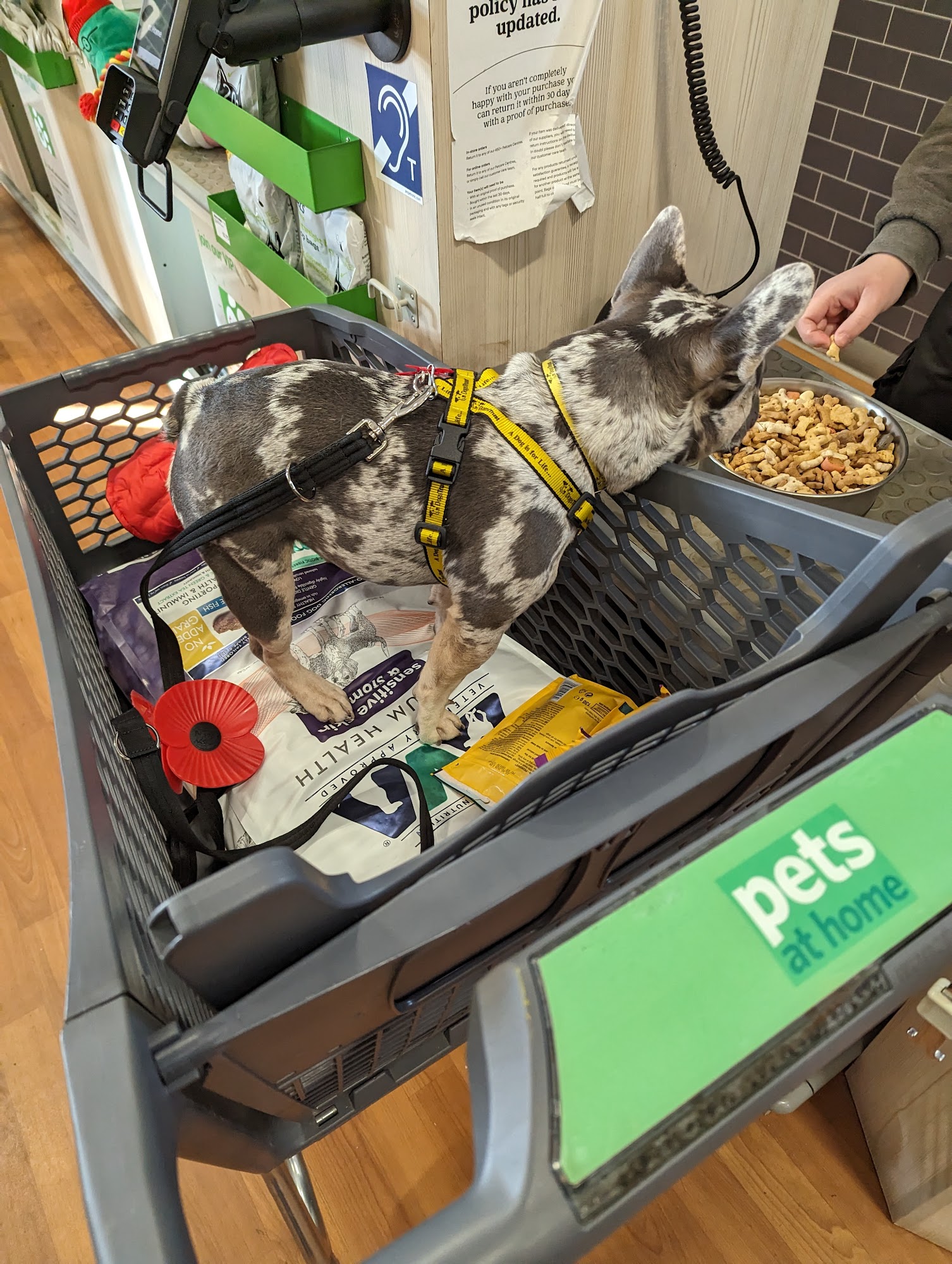 Pets at Home Pontefract