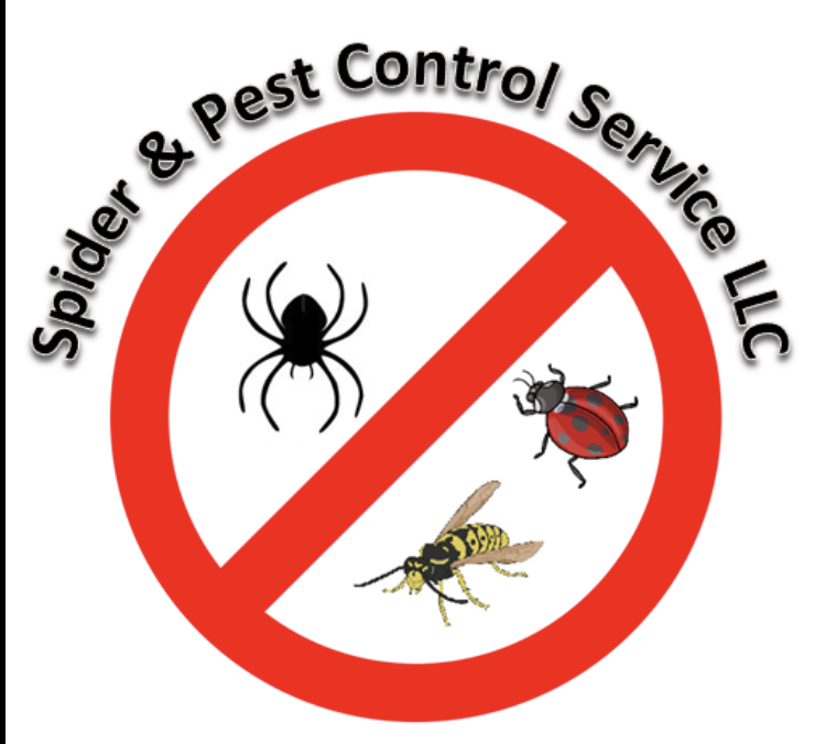Spider and Pest Control Service