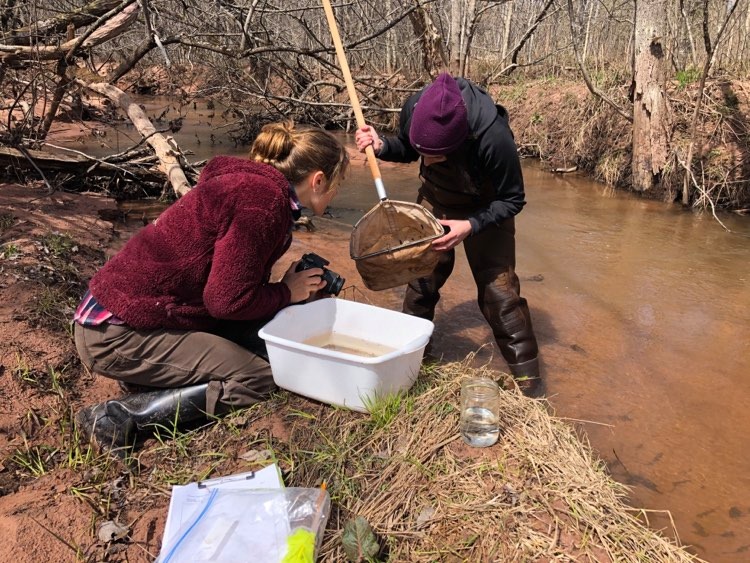 Superior Rivers Watershed Association