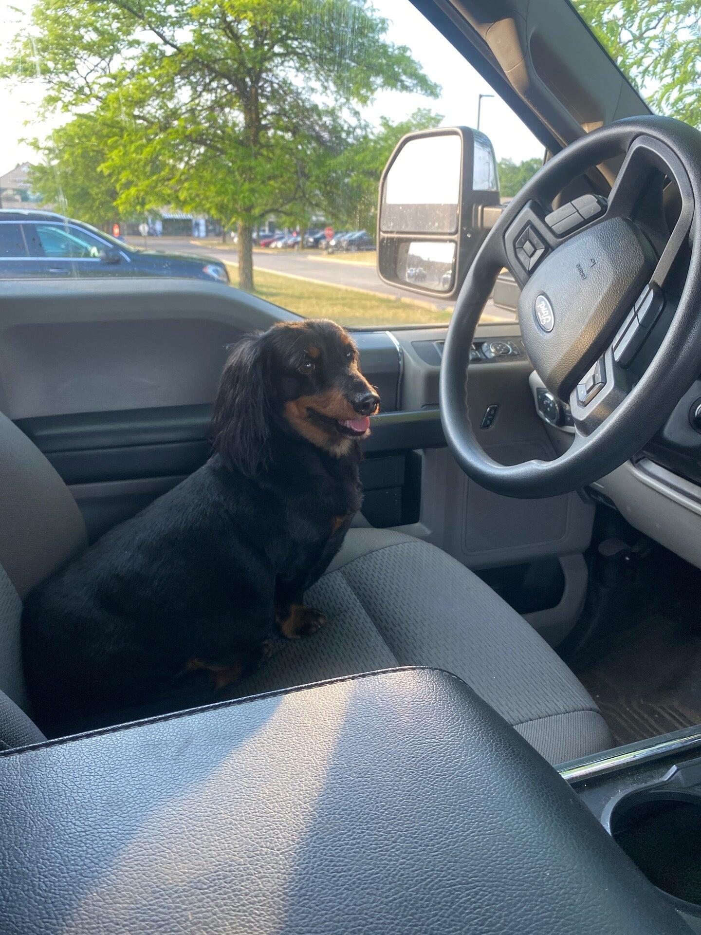 Photo credit: nextdoor