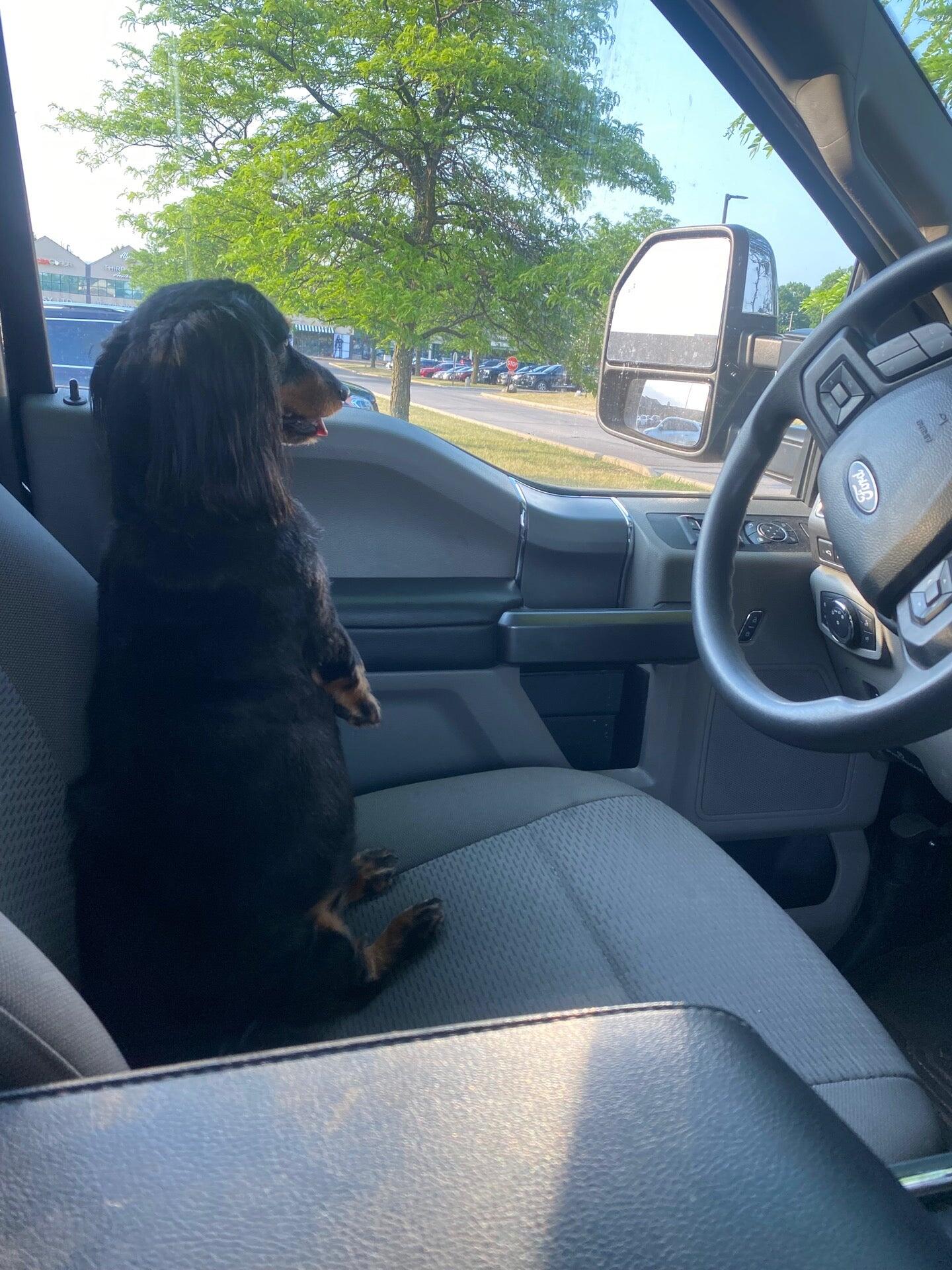Photo credit: nextdoor