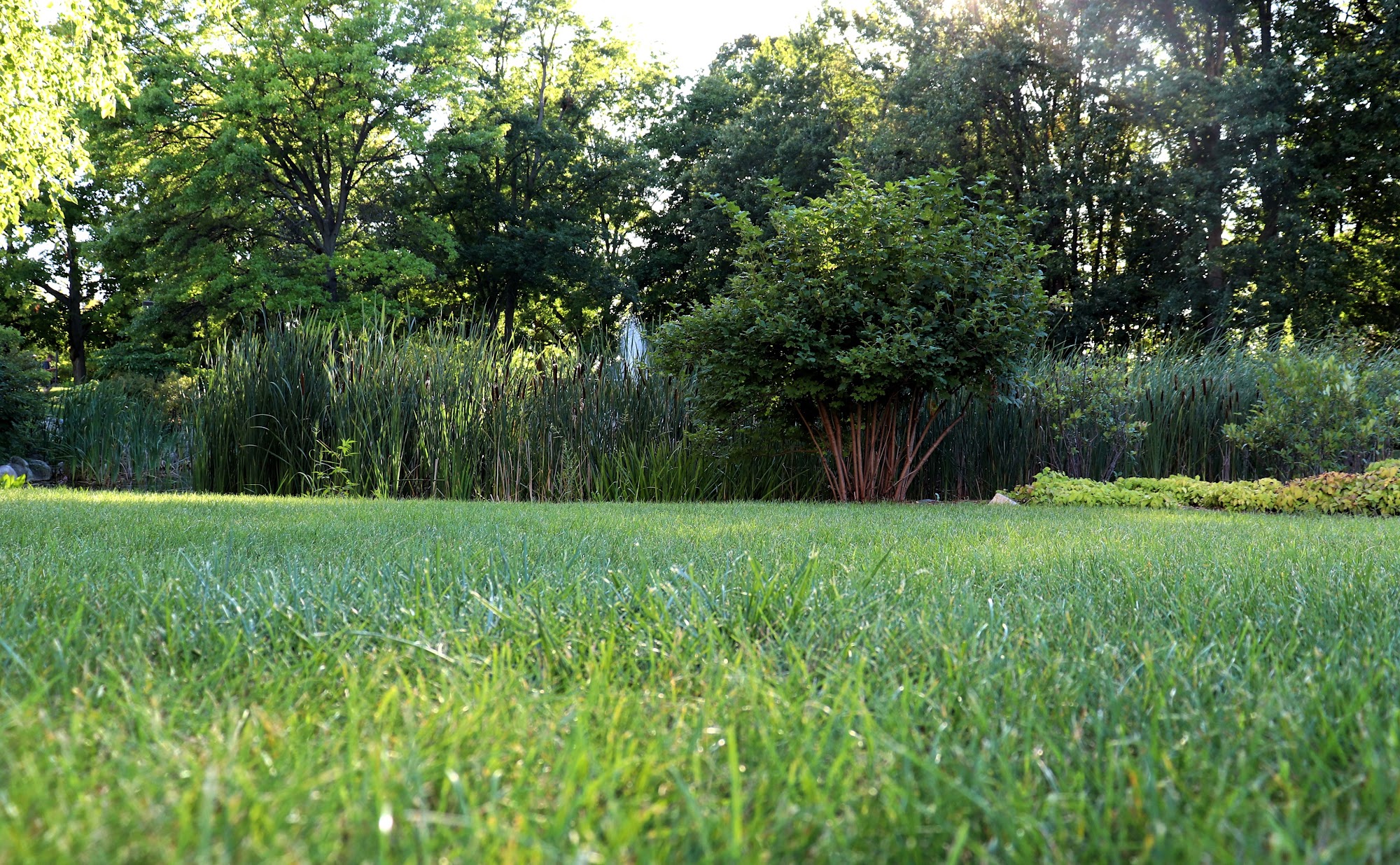 So Green Lawn Care, LLC