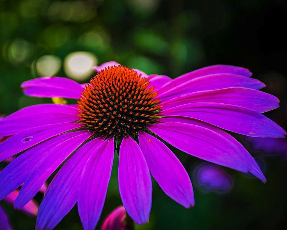 Photo credit: 