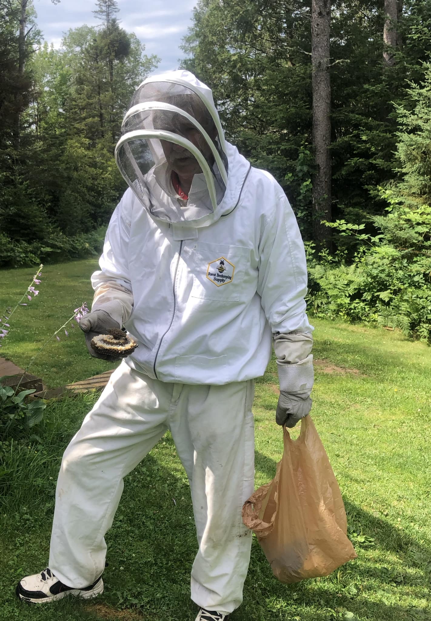 Border Pest Control 2102 Musky Dam Ln, Eagle River Wisconsin 54521