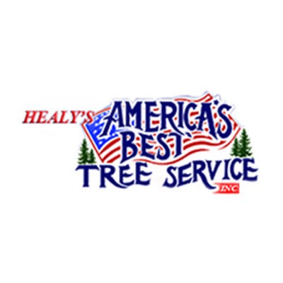Healy's America's Best Tree Service 545 US-45, Eagle River Wisconsin 54521